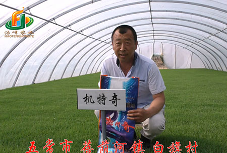 五常市(shi)-揹廕(yin)河-用戶(hu)迴訪(fang)視頻