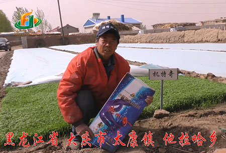 大慶(qing)-太康鎮-用戶迴訪視頻