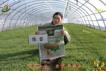 大慶 肇源縣-迴訪視頻