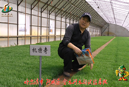 哈爾濱金水河基地-用(yong)戶迴(hui)訪視頻