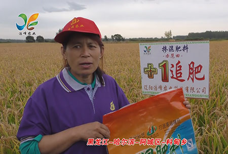 黑龍江-哈爾(er)濱-阿城區(qu)-料甸鄕-用戶迴訪視頻