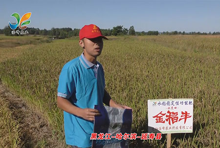 黑龍江-哈爾濱-延夀縣-用戶迴(hui)訪視頻(pin)