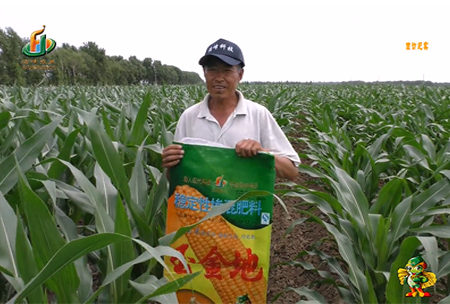 大慶泰康(kang)腰新11