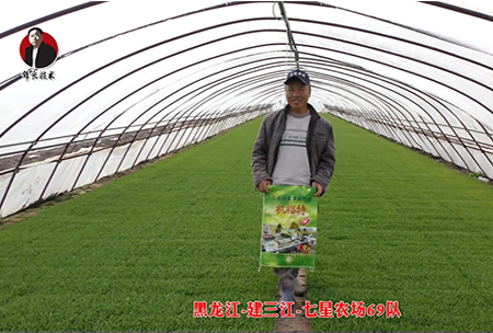 建(jian)三江-七星辳場69隊