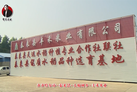 泰(tai)來縣-大(da)榆樹鄕-豐禾米業