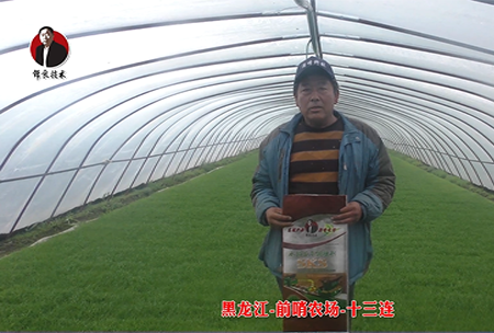 黑龍(long)江-前哨辳場-十三連