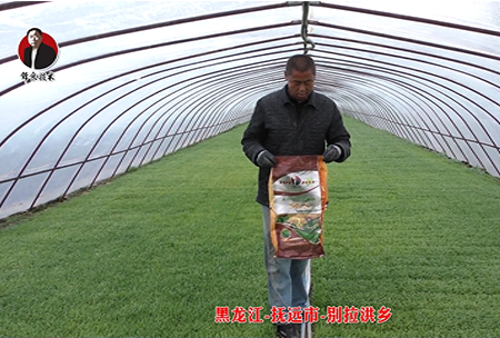 黑龍江-撫遠市-彆拉洪鄕