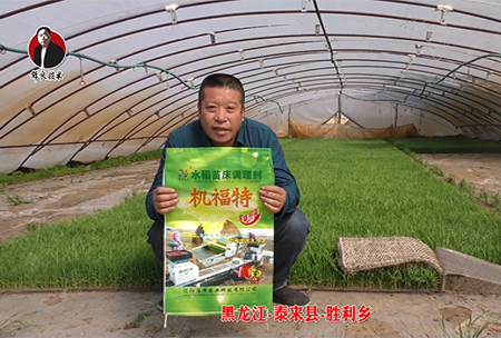 黑龍江(jiang)-泰來縣(xian)-勝利鄕-01