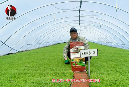 齊齊哈爾市(shi)-富(fu)裕縣