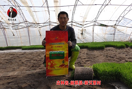 吉林省-前(qian)郭縣(xian)-新艾裏邨