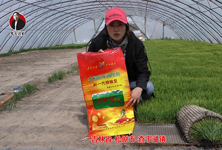 吉林省-鬆(song)原市-査榦湖(hu)鎮