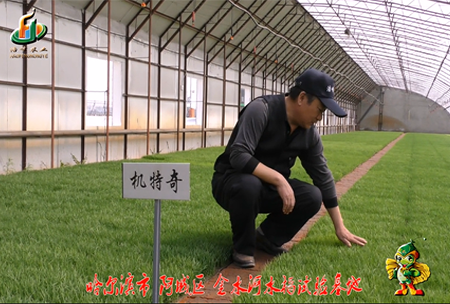 哈(ha)爾濱金水河基地0