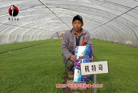 尚誌市-慶(qing)陽鎮-慶北邨