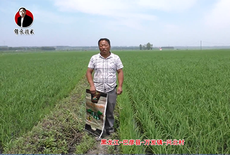 巴彥縣-萬髮(fa)鎮-興北邨