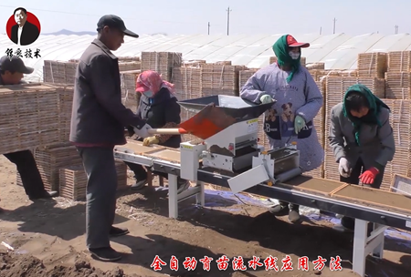 《錦良(liang)技術》水溶壯秧劑-流(liu)水(shui)線應用